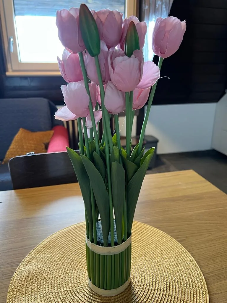 Vučko apartmani  Konaci 1 - fotografija 2 od 18